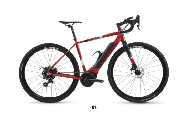 Greto ION guerciotti bici gravel e bike color 01