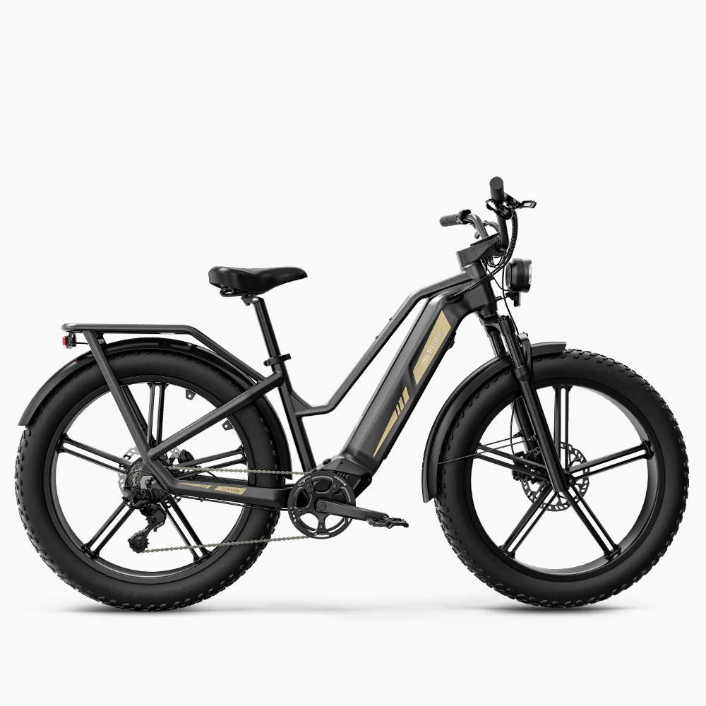 Bicicleta eléctrica Fiido titan robust cargo con sensor de torsión y certificación UL