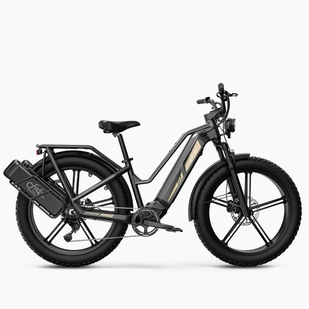 Bicicleta eléctrica Fiido titan robust cargo con sensor de torsión y certificación UL - Imagen 4