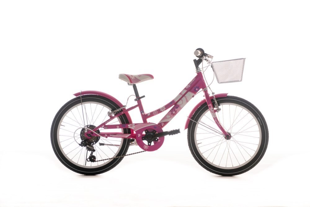 Bicicleta Airbici Papillon Lady 20¨ - Imagen 2