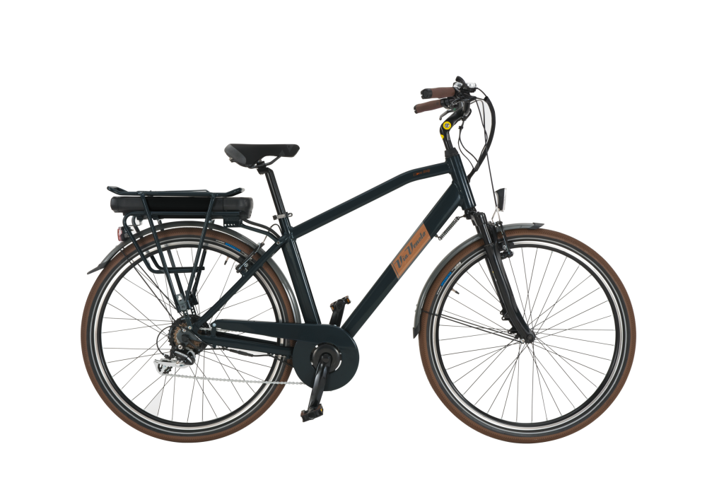 Via Veneto E-62 eléctrica - MAN motor de 250W, bateria de Li-ion 36V-13AH - Imagen 6