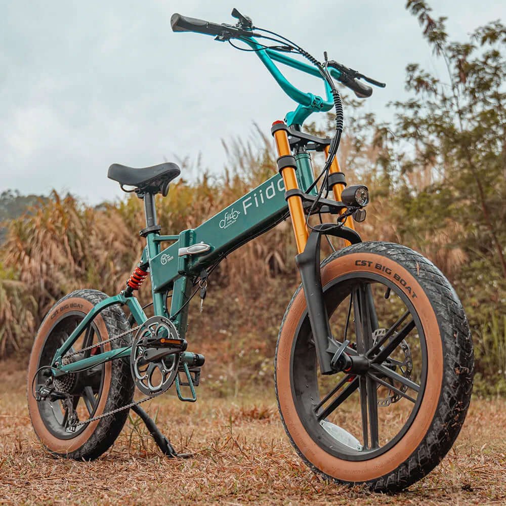 E- Bike Fiido M1 Pro Fat 2025 - Imagen 4