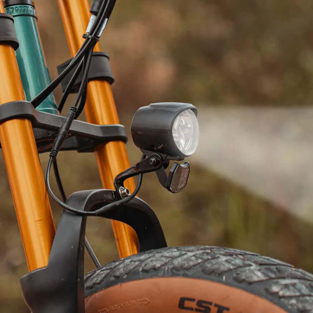 E- Bike Fiido M1 Pro Fat 2025 - Imagen 14