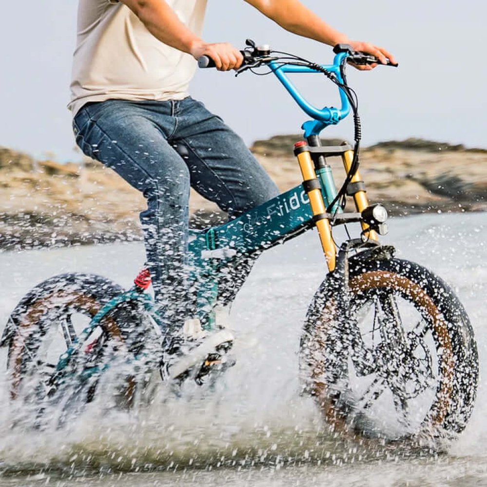 E- Bike Fiido M1 Pro Fat 2025 - Imagen 5
