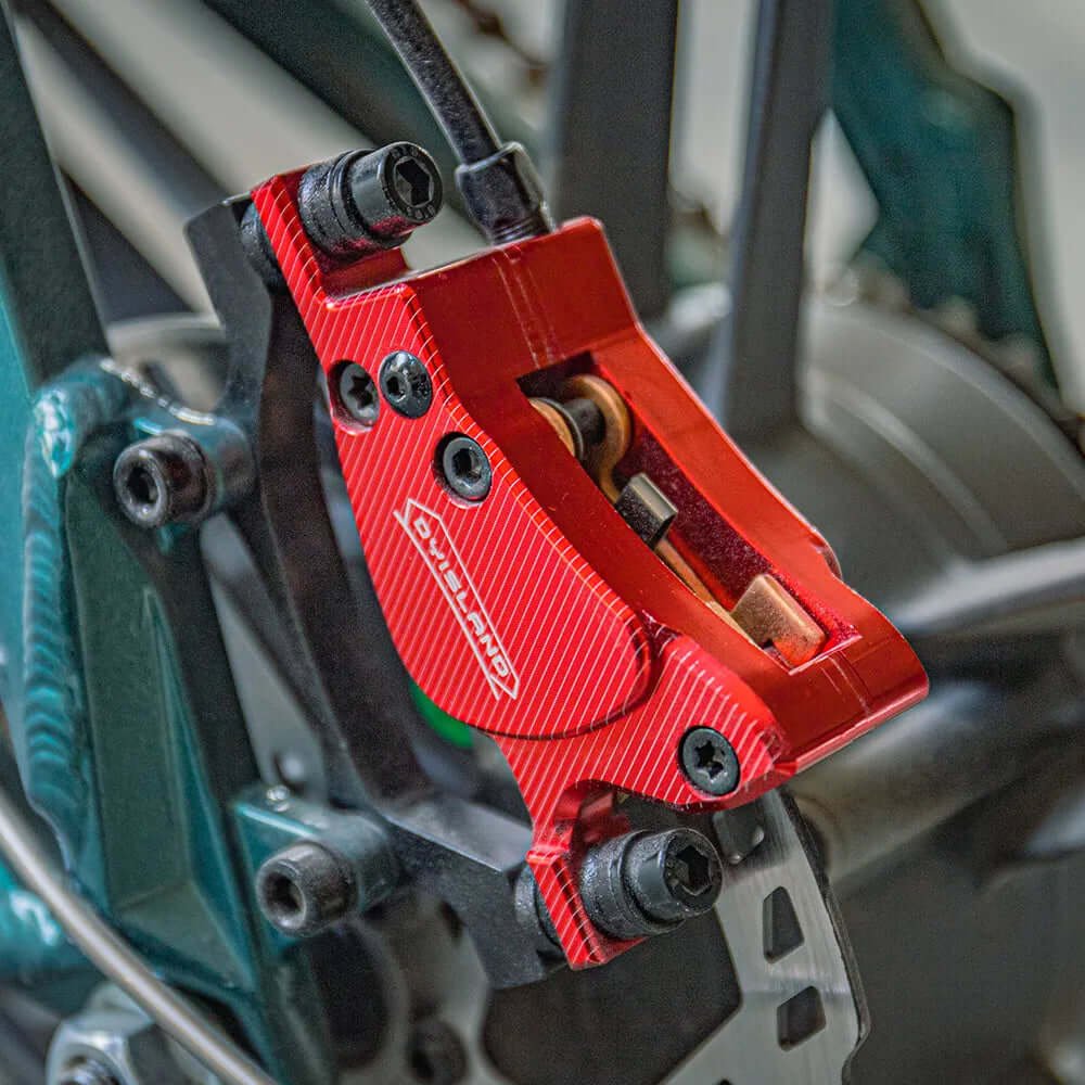 E- Bike Fiido M1 Pro Fat 2025 - Imagen 9