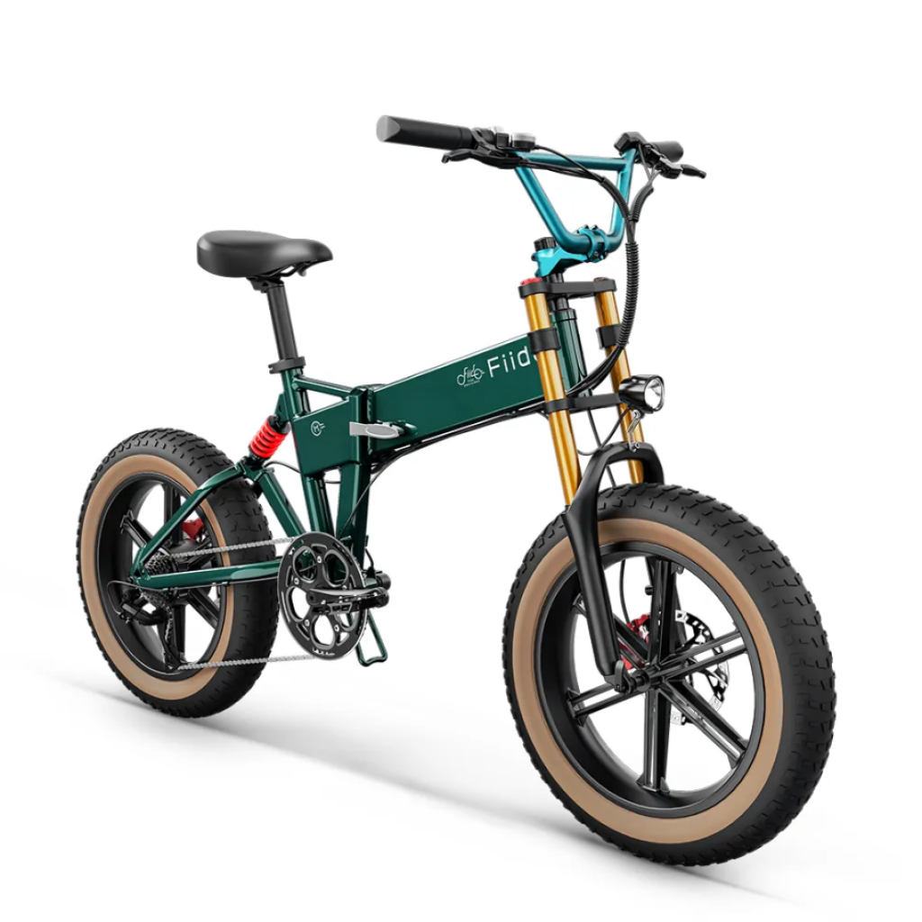 E- Bike Fiido M1 Pro Fat 2025