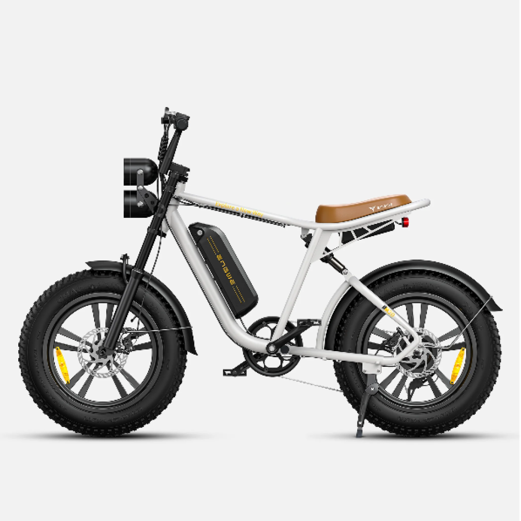 Bicicleta Eléctrica Engwe M20 750W