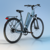 Bicicleta electrica TENWAYS CGO800S - Imagen 8