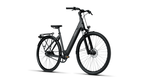 Bicicleta electrica TENWAYS CGO800S - Imagen 6