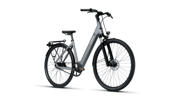 Bicicleta electrica TENWAYS CGO800S - Imagen 4