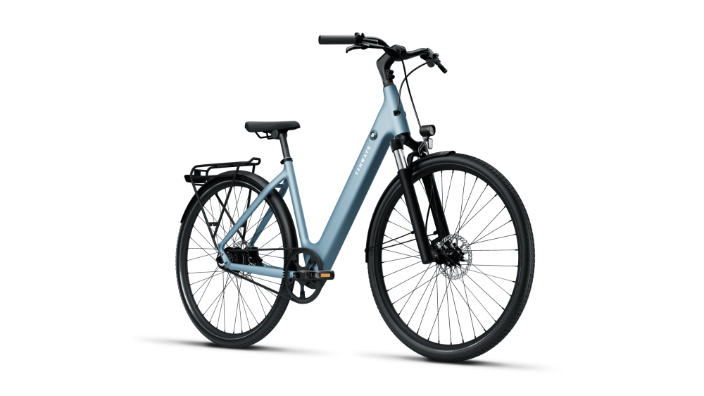 Bicicleta electrica TENWAYS CGO800S