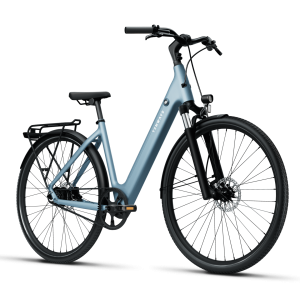 Bicicleta electrica TENWAYS CGO800S