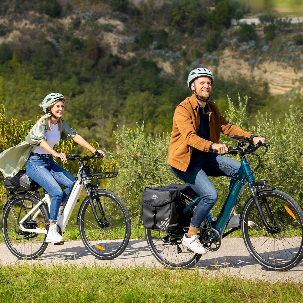 Bicicleta eléctrica urbana Fiido C11 / C11 PRO - Imagen 6