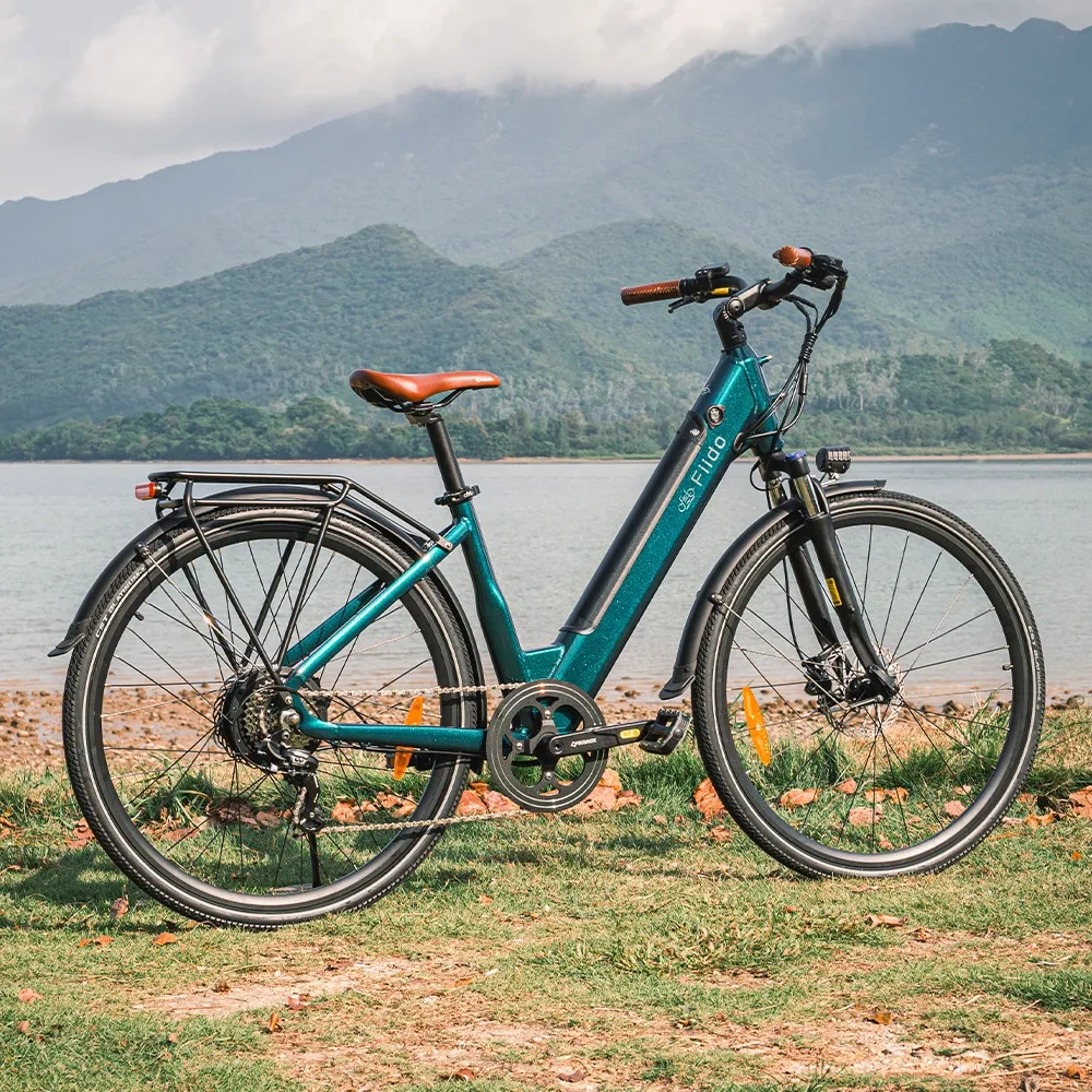 Bicicleta eléctrica urbana Fiido C11 / C11 PRO - Imagen 9