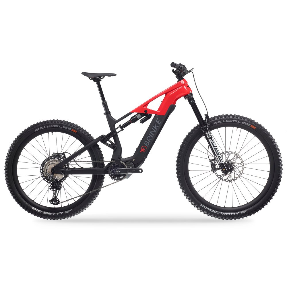 Bicicleta electrica Carbon Race XXR - BRINKE - Imagen 7