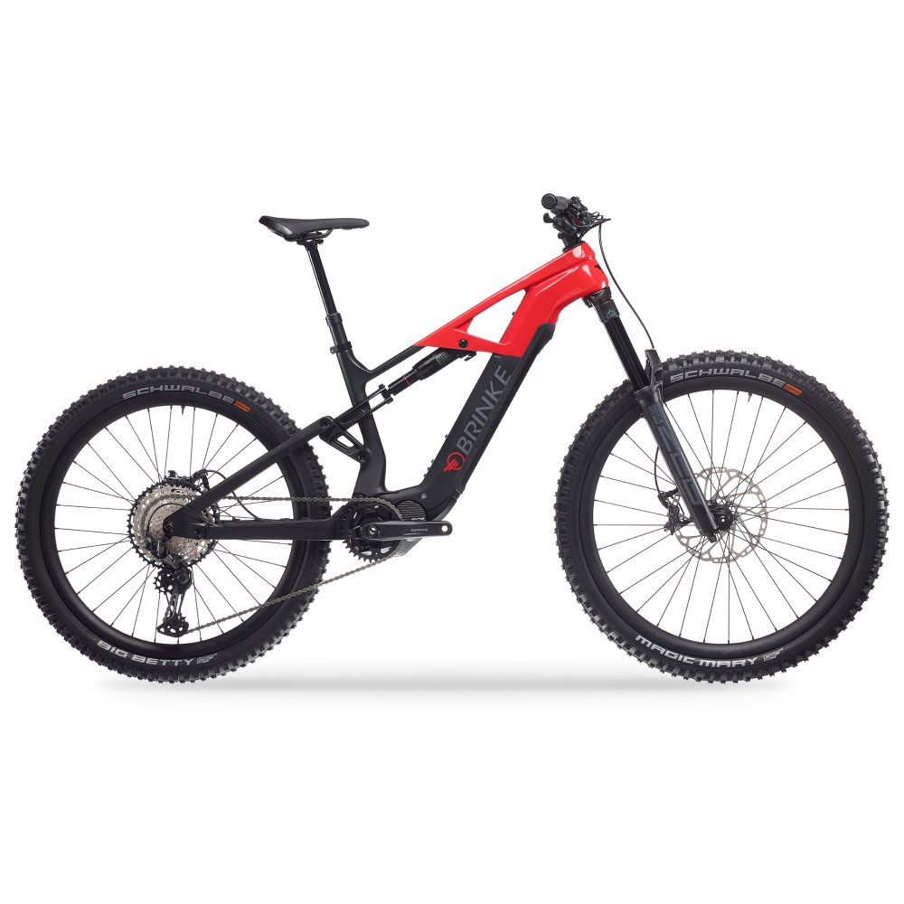 Bicicleta electrica Carbon Race XXR - BRINKE - Imagen 4