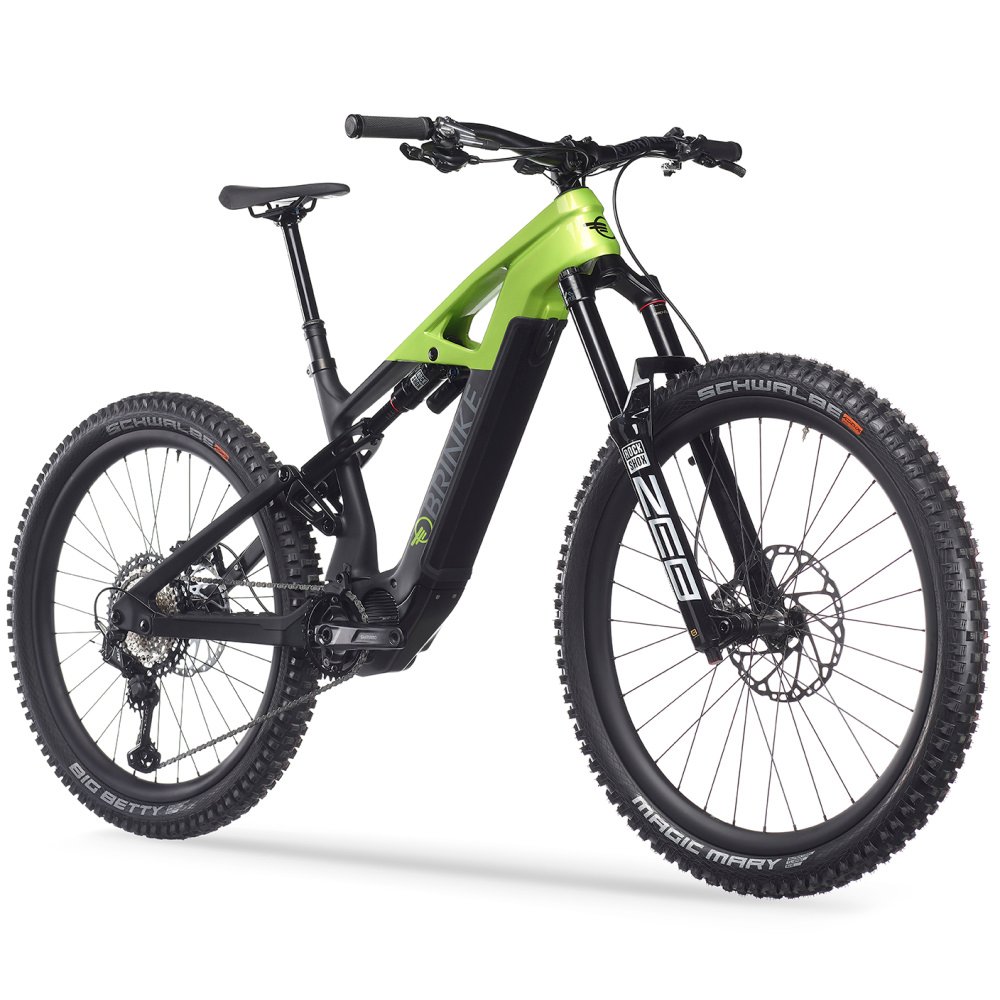 Bicicleta electrica Carbon Race XXR - BRINKE - Imagen 3