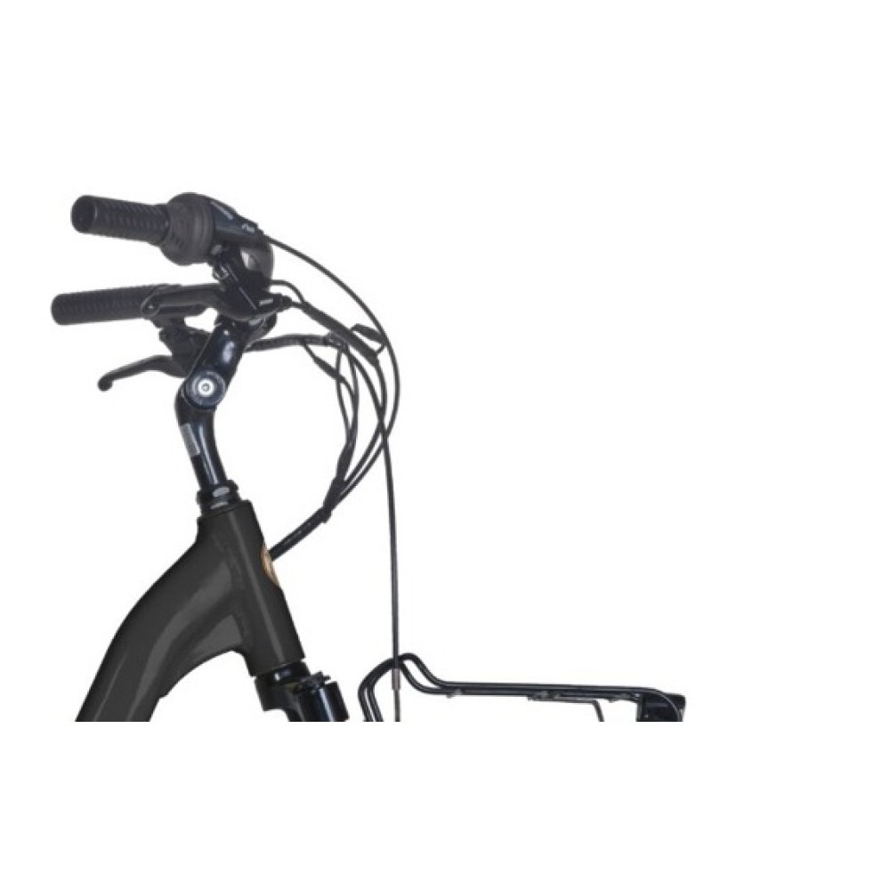 Bicicleta electrica E-CLASSIC 24” LADY, 6 VELOCIDADES - Airbici - Imagen 15