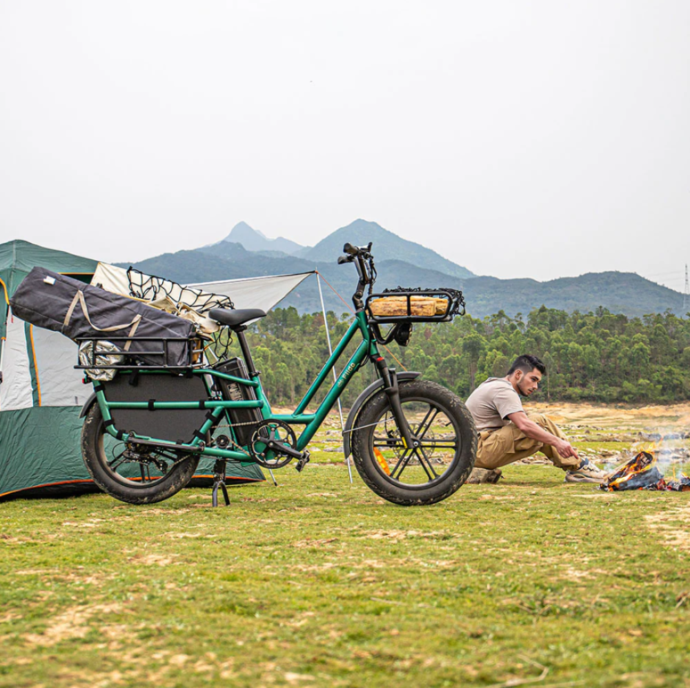 Bicicleta eléctrica de cargo Fiido T2 Longtail - Imagen 5