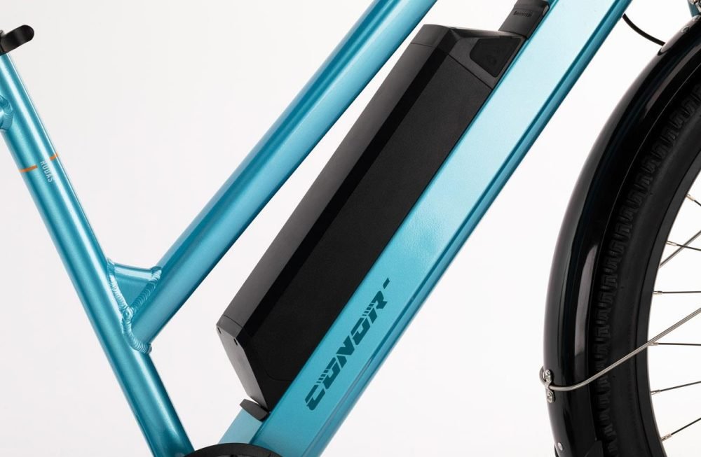 Bicicleta de Cargo RODAS- Conor - Imagen 4