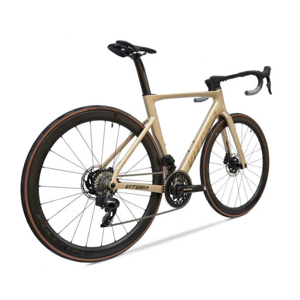 Bicicleta Vitoria ART FORCE AXS D2