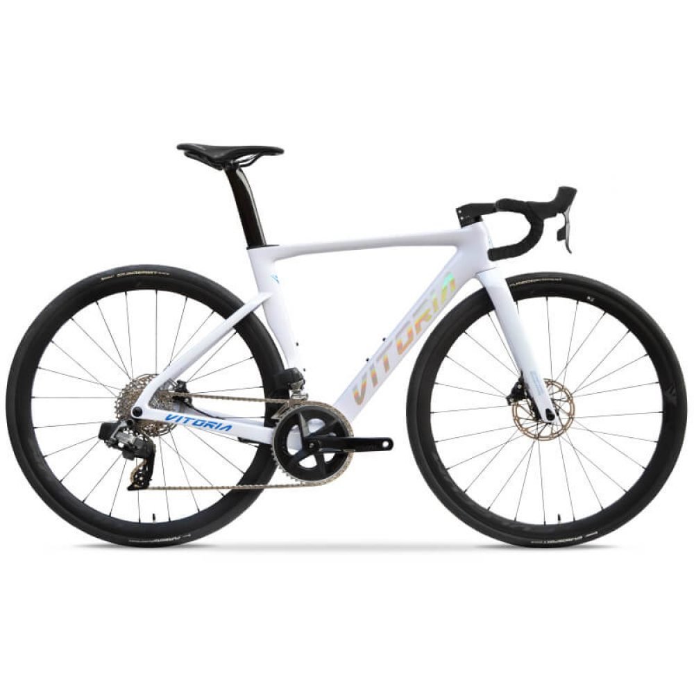 Bicicleta Vitoria ART RIVAL AXS White