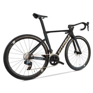 Bicicleta Vitoria ART RIVAL AXS Black