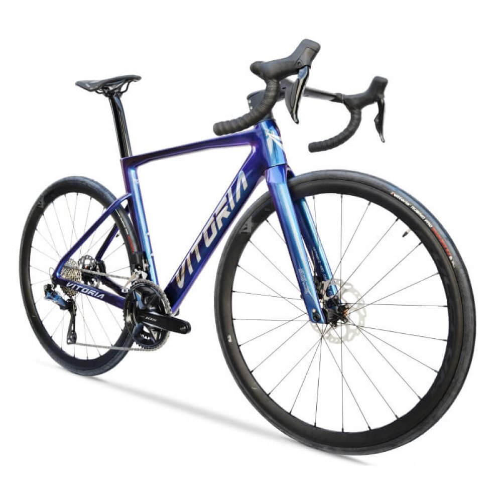 Bicicleta Vitoria ART SH105 12s Camaleón - Imagen 2