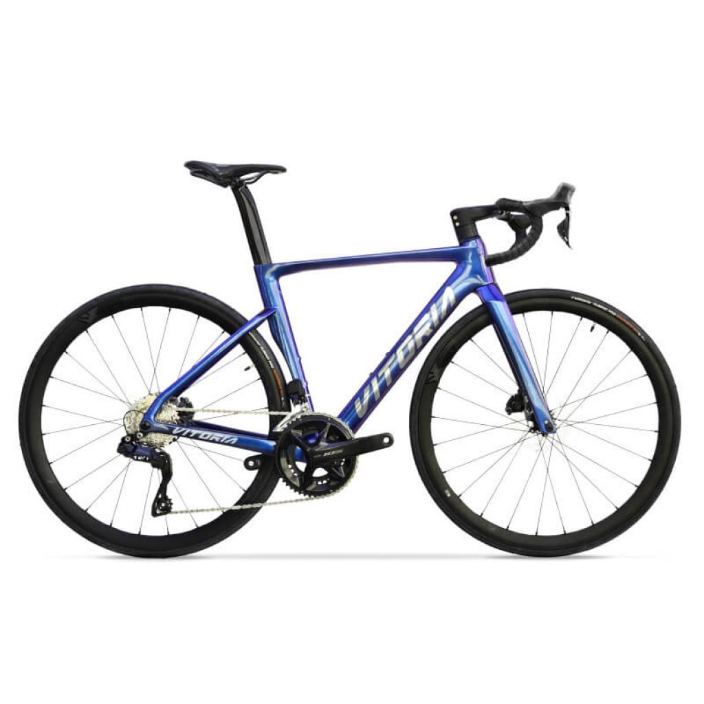 Bicicleta Vitoria ART SH105 12s Camaleón