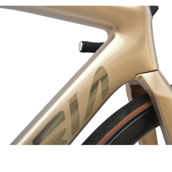 art shimano 105 di2 champagne