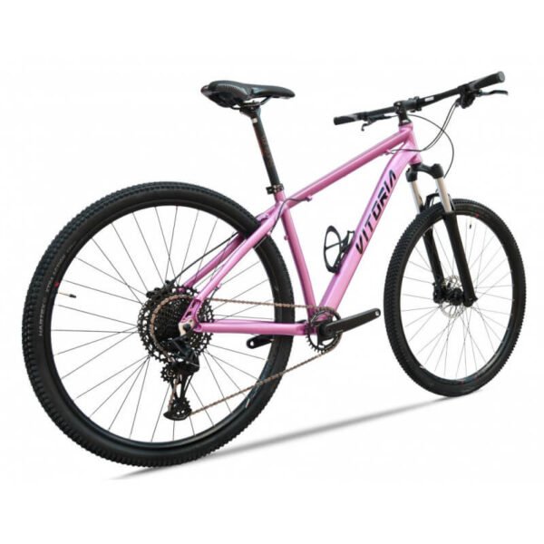 Bicicleta Vitoria AXIM 29 SRAM 1X12 - Imagen 2