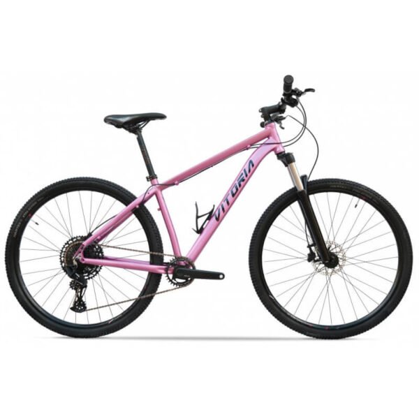 Bicicleta Vitoria AXIM 29 SRAM 1X12