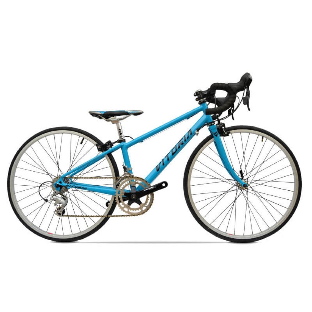 Bicicleta Niños Vitoria BAMBINO 600 8/9V - Imagen 3
