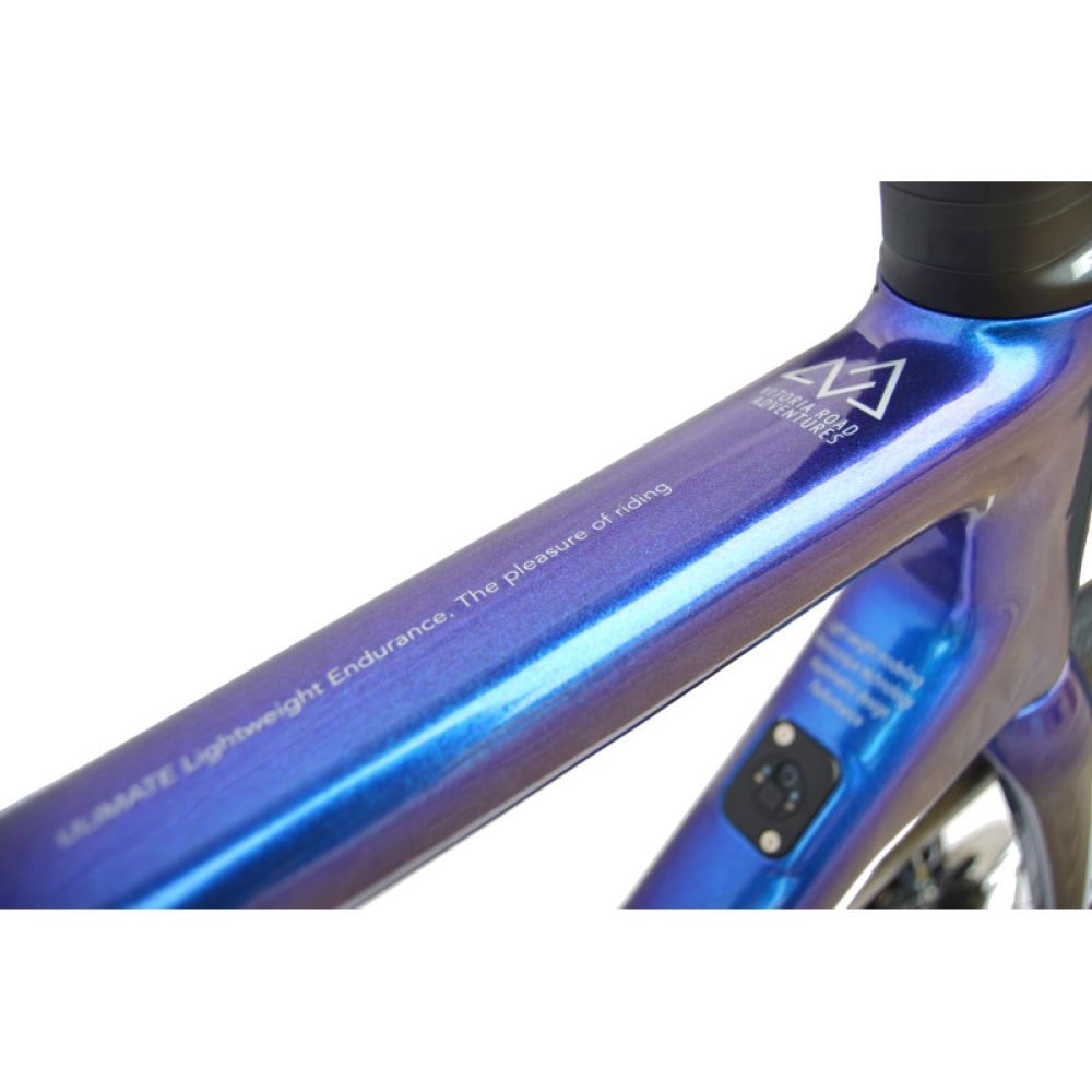 Bicicleta Vitoria ENDURANCE RIVAL AXS - Imagen 2