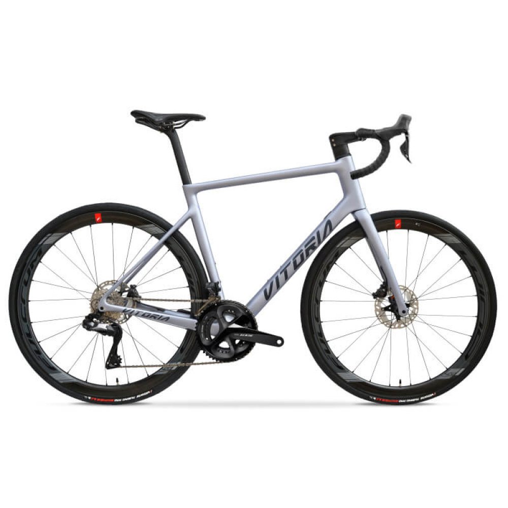 Bicicleta Vitoria ENDURANCE SH105 12s Plata