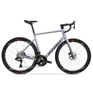 Bicicleta Vitoria ENDURANCE SH105 12s Plata