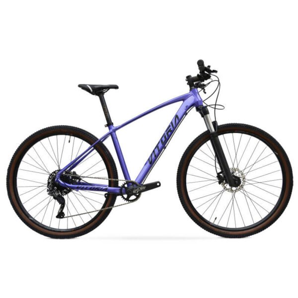 Bicicleta Vitoria ERGOS 29 SPORT 12V