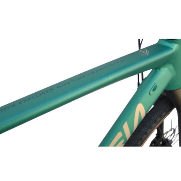 Bicicleta Vitoria NYX EXPLORER 1X12 EAGLE green - Imagen 2