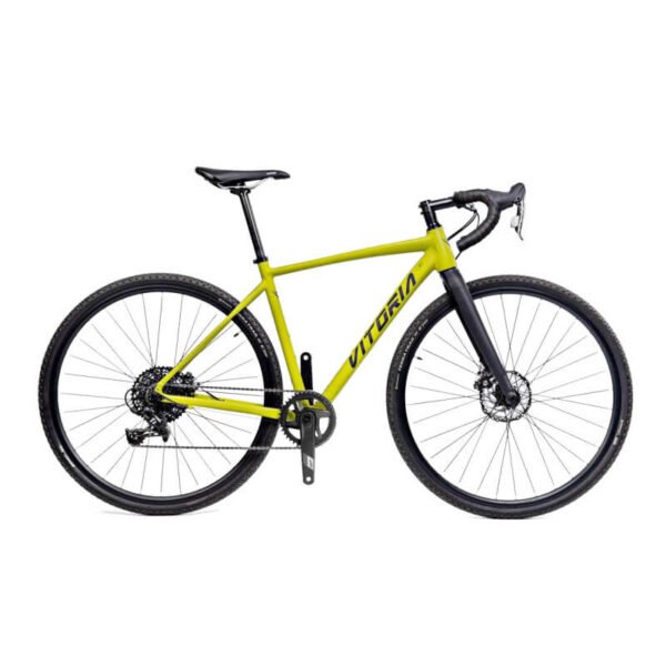 Bicicleta Vitoria NYX EXPLORER APEX 12V Pistacho