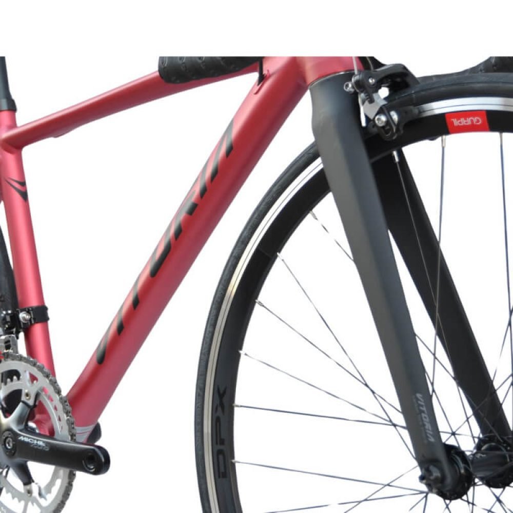 Bicicleta Niños Vitoria RACE RS04 SH CLARIS - Imagen 3
