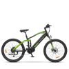 Ebike MTB Argento Performance PRO