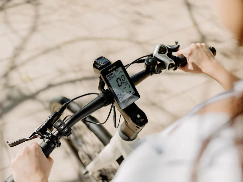 Bicicleta eléctrica Heybike EC 1 6 Bicicleta eléctrica Heybike EC 1 - Imagen 6