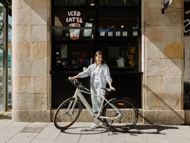 Bicicleta eléctrica Heybike EC 1 10 Bicicleta eléctrica Heybike EC 1 - Imagen 10