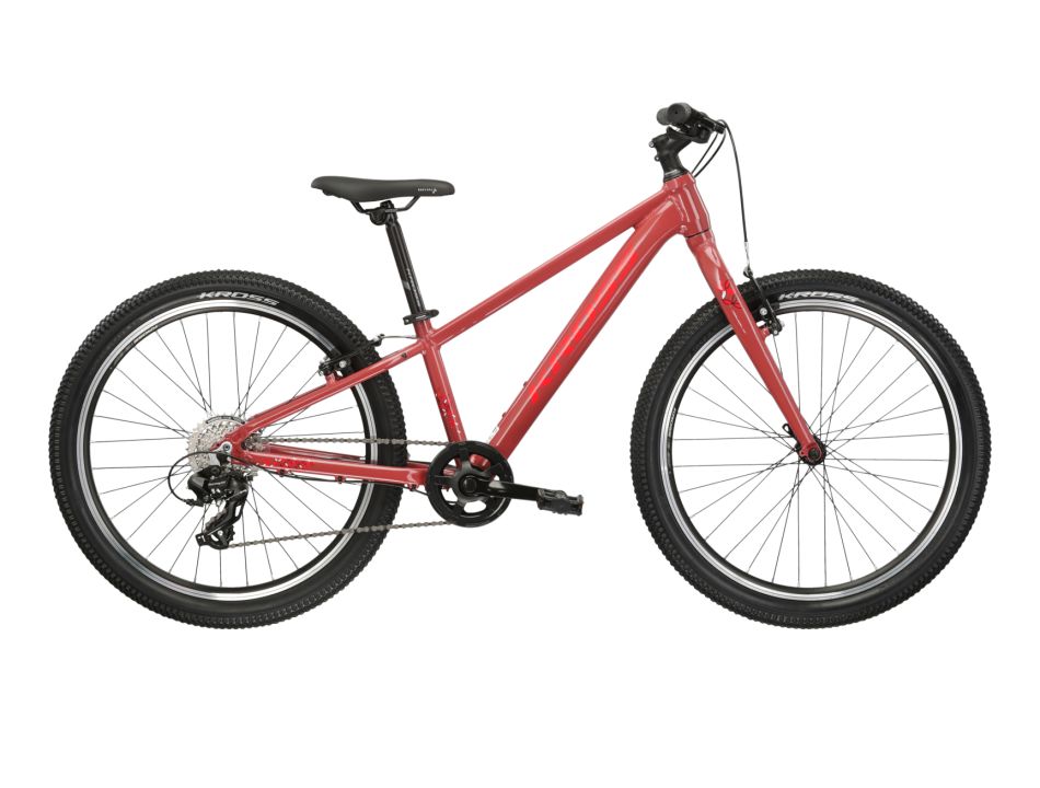 INICIO 32 Bicicleta LEA JR 1.0