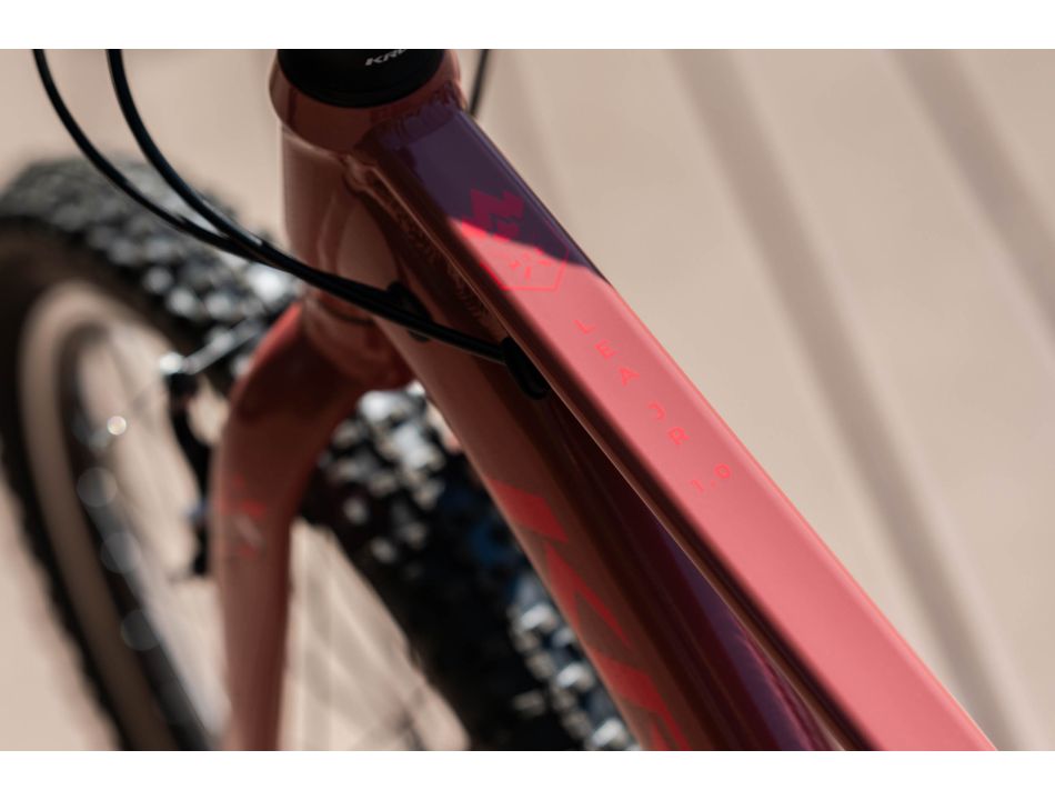 Bicicleta LEA JR 1.0 - Imagen 8