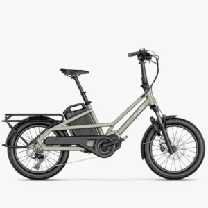Bicicleta Eléctrica de Carga Urbana Familiar Fiido T3